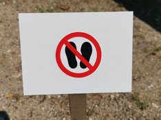 IMG_20190719_153423.jpg