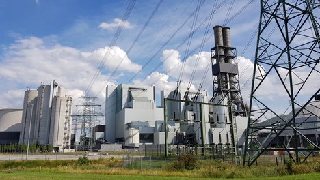 20200830_142211_-_Moorburg.jpg