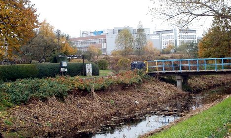 Stadt frisst Grün: Immer mehr Industrie, immer weniger Natur in Hamburg-Neuland. (Foto zeigt Entwässerungsgraben, Kleingärten, Industriegebäude.)