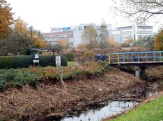 Stadt frisst Grün: Immer mehr Industrie, immer weniger Natur in Hamburg-Neuland. (Foto zeigt Entwässerungsgraben, Kleingärten, Industriegebäude.)