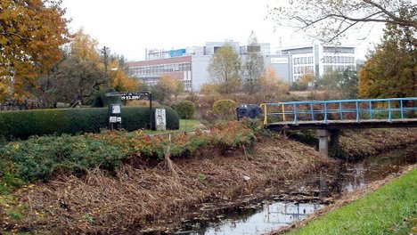 Stadt frisst Grün: Immer mehr Industrie, immer weniger Natur in Hamburg-Neuland. (Foto zeigt Entwässerungsgraben, Kleingärten, Industriegebäude.)