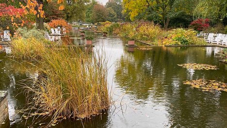 2021-10-20_Planten_un_Blomen_03_web.jpg