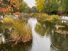 2021-10-20_Planten_un_Blomen_03_web.jpg