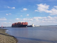 20200713_Elbe_Containerschiff_171757.jpg