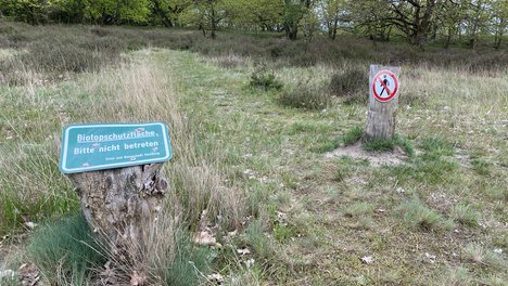 Naturschutz_biotop_IMG_1885.jpg