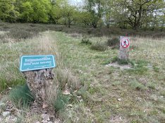Naturschutz_biotop_IMG_1885.jpg