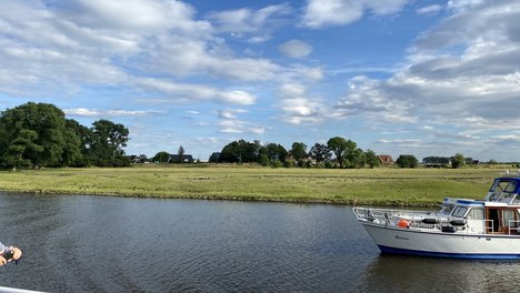 SJ_2020_Dove__Elbe_IMG_0593.jpg