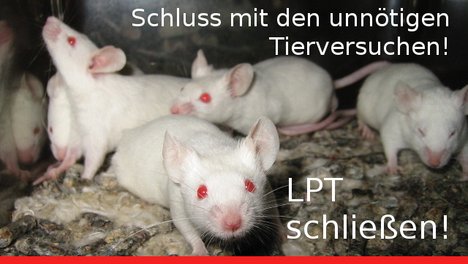 labormäuse meinen: Schluss mit den unnötigen Tierversuchen! LPT schließen!