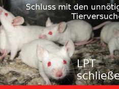 labormäuse meinen: Schluss mit den unnötigen Tierversuchen! LPT schließen!