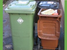 Muelltonnen_Mussklprozz_CCBYSAdreipunktnull.jpg Drei verschiedene Mülltonnen, darunter eine Biotonne, die mit Verpackungsmaterial gefüllt wurde. Foto: Mussklprozz auf wikimedia CC-BY-SA 3.0