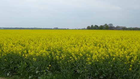 P1010835.JPG