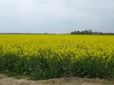 P1010835.JPG