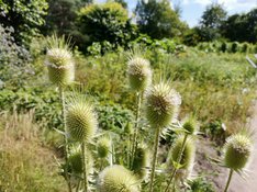 IMG_20190719_151418.jpg