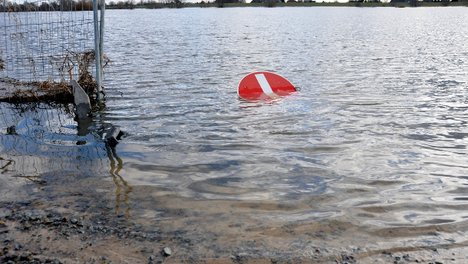 Der Wasserstand der Tide-Elbe steigt bereits ohne weitere Elb-Vertiefung.