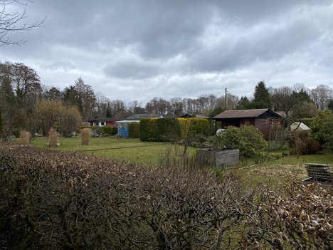 Schrebergarten__IMG_1513.jpg
