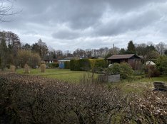 Schrebergarten__IMG_1513.jpg