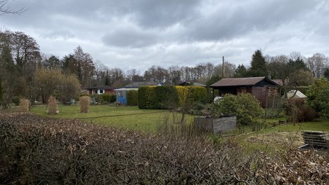 Schrebergarten__IMG_1513.jpg