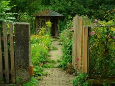 garden.jpg