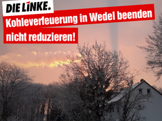 Linke_Wedel_Kohleausstieg.png
