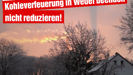 Linke_Wedel_Kohleausstieg.png